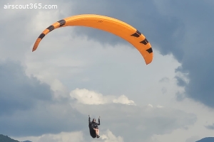 PHI Maestro 2 21 orange